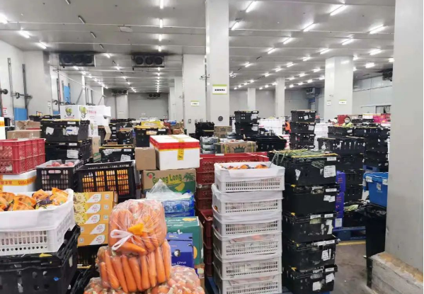 助力民生和医疗物资保供，太阳成集团tyc151cc抗疫救灾一直在线！